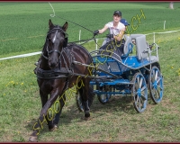 2POSIEUX 0124